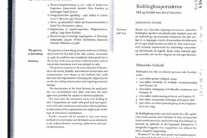 Koldinghusportalerne – Sandstensportaler i DK, 1995.4